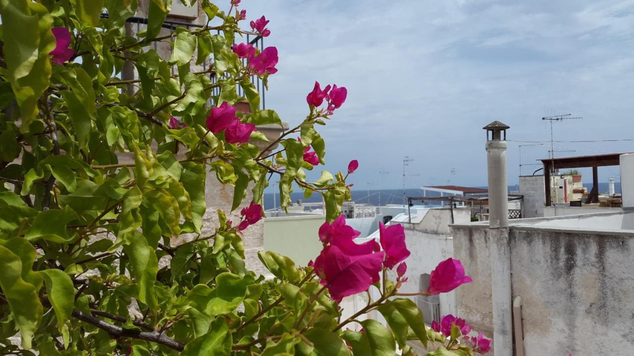 La Casetta Nel Vico Polignano a Mare Εξωτερικό φωτογραφία